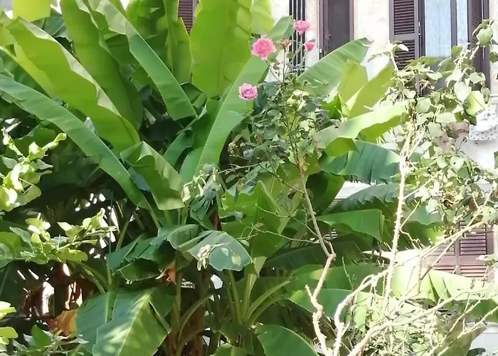 Il Cortile - Nel Cuore Di Testaccio * Rom